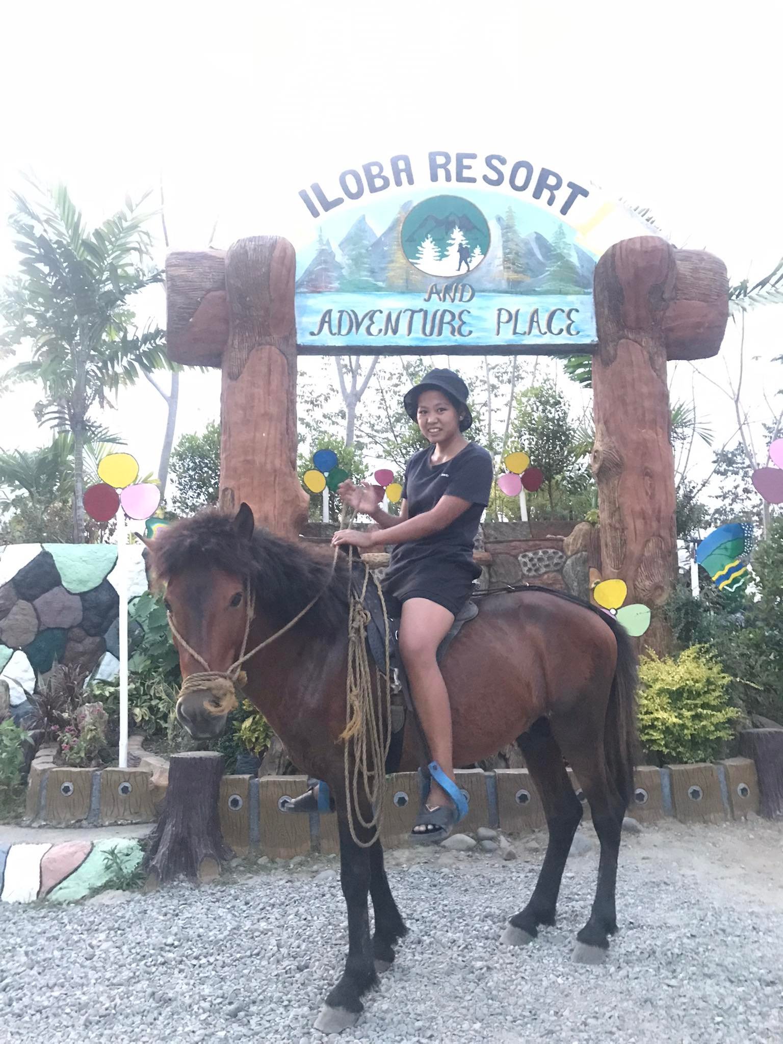 Horse Riding